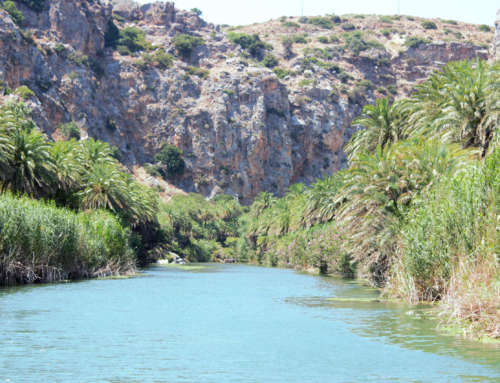 Preveli