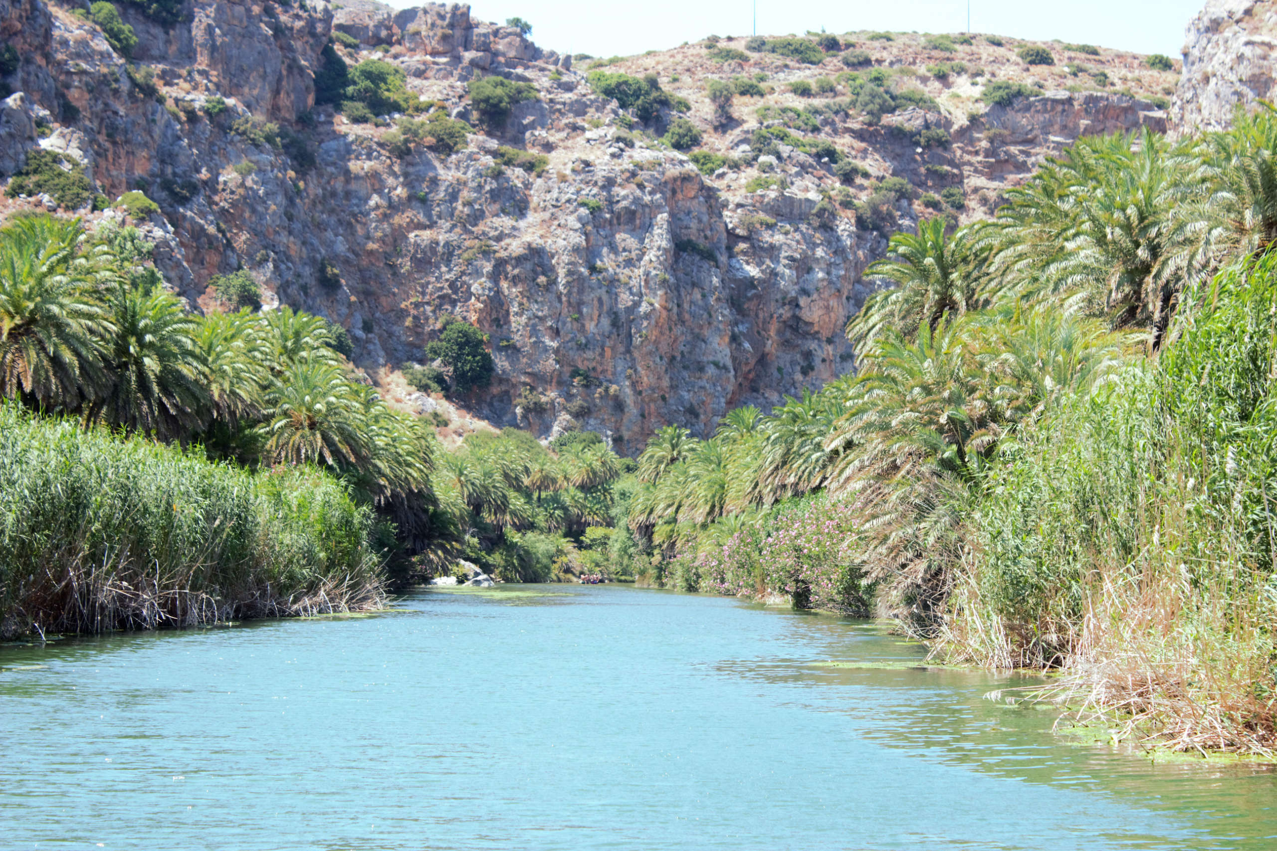 Preveli Palmenhain