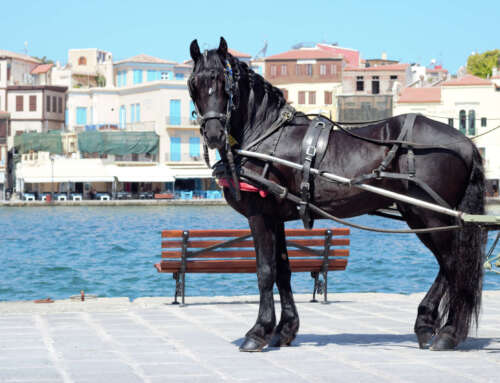 Chania und Umgebung